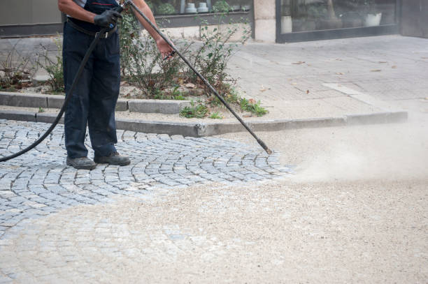 Animal Enclosure Cleaning in West Point, GA